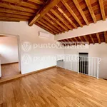 Rent 5 bedroom apartment of 200 m² in Lucca