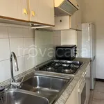 Rent 2 bedroom apartment of 52 m² in Milano