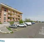 Affitto 2 camera appartamento di 55 m² in Rome