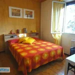 Rent 3 bedroom apartment of 82 m² in Bologna