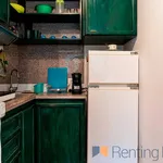 Rent 1 bedroom apartment of 35 m² in Roma