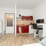 Rent 1 bedroom apartment of 28 m² in Ostrava