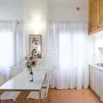 Rent 1 bedroom apartment of 35 m² in Firenze