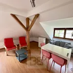 Rent 1 bedroom apartment in Beroun