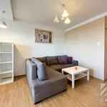 Rent 2 bedroom apartment of 47 m² in Katowice