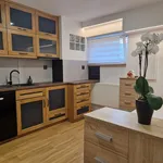 Rent 1 bedroom apartment in Vsetín