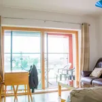 Rent a room in dublin