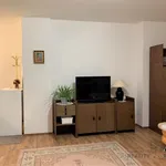 Rent 1 bedroom apartment of 36 m² in Brno