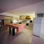 Rent 1 bedroom apartment of 32 m² in Roma