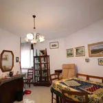 Rent 3 bedroom apartment of 77 m² in Siena