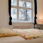 Rent a room of 155 m² in berlin