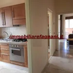 Affittasi Appartamento, APPARTAMENTO BILOCALE CON TERRAZZO A LIVELLO - Annunci Velletri (Roma) - Rif.569153