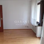 Rent 1 bedroom apartment of 35 m² in Wangen