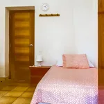 Rent 6 bedroom apartment in Valencia