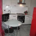 Rent 1 bedroom apartment of 20 m² in Verona