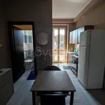 Rent 1 bedroom apartment of 25 m² in Turin