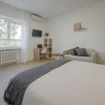 Rent a room of 200 m² in madrid