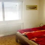 Miete 2 Schlafzimmer wohnung in Winterthur