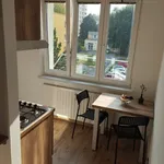 Rent 1 bedroom apartment in Ostrava