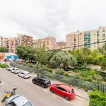 Alquilar 4 dormitorio apartamento en Valencia