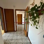 Rent 4 bedroom apartment of 140 m² in Bagheria