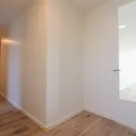 Huur 3 slaapkamer appartement van 99 m² in Meerrijk