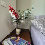 Rent 2 bedroom apartment of 60 m² in Torino