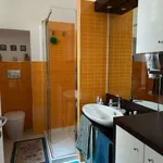 Rent 2 bedroom apartment of 60 m² in Turin