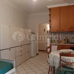 Rent 2 bedroom apartment of 50 m² in Roma