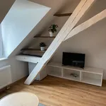 Miete 1 Schlafzimmer wohnung von 18 m² in Freiburg im Breisgau