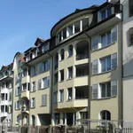 Rent 3 bedroom apartment of 63 m² in Bern