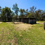 Rent 3 bedroom house in Marrar