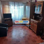 Rent 1 bedroom house of 28 m² in Pitești