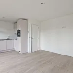 Huur 3 slaapkamer appartement van 56 m² in Kleinpolder