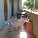 Rent 4 bedroom apartment of 80 m² in Nettuno