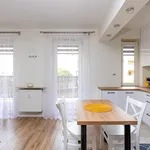 Rent 3 bedroom apartment of 54 m² in Białystok