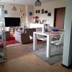 Rent 1 bedroom apartment in Vlekkem