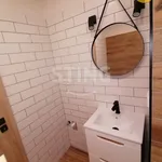 Rent 1 bedroom apartment of 36 m² in Ostrava