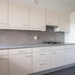 Huur 4 slaapkamer appartement van 94 m² in Delft