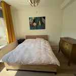 Rent 2 bedroom apartment of 55 m² in Stadsdriehoek