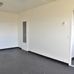 Huur 1 slaapkamer appartement in Charleroi