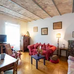 Rent 1 bedroom apartment in Rome