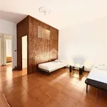 Rent 2 bedroom apartment of 63 m² in Turin