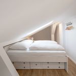 Miete 1 Schlafzimmer wohnung von 50 m² in Dresden