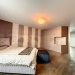 Huur 1 slaapkamer appartement van 807 m² in Brussels