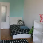 Rent a room in turin