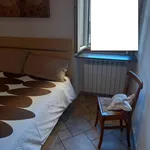 Rent 1 bedroom apartment of 65 m² in livorno