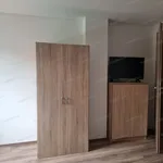 Rent 3 bedroom apartment of 50 m² in Kecskemét