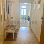 Rent 1 bedroom apartment of 59 m² in Brno