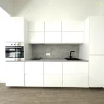 Rent 1 bedroom apartment of 42 m² in Zlín